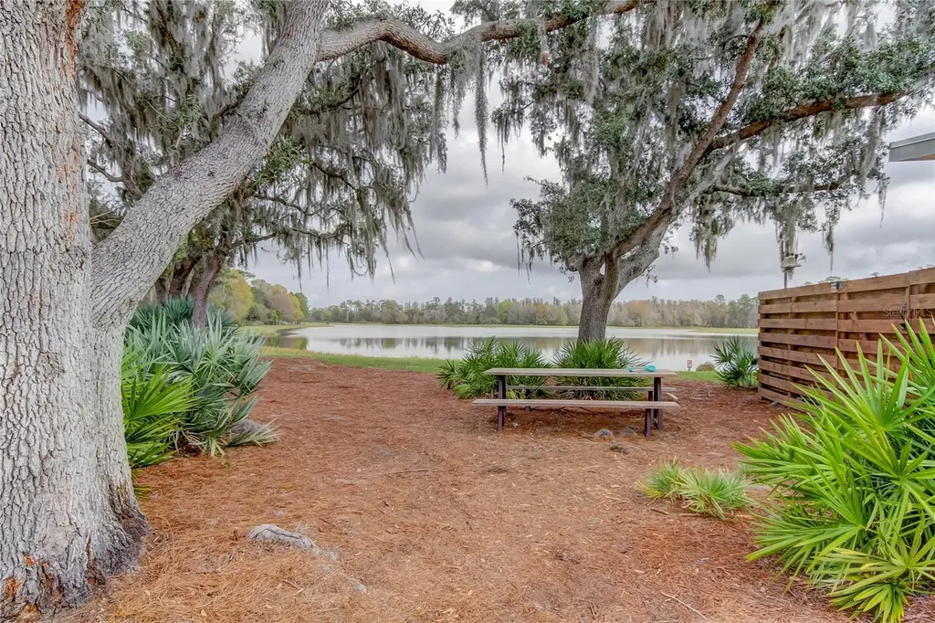 11855 Ranchers Gap Drive Odessa FL 33556