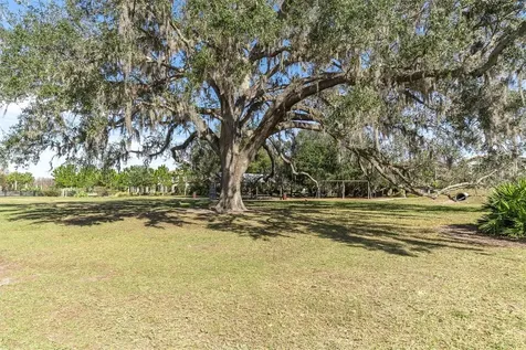 11855 Ranchers Gap Drive Odessa FL 33556