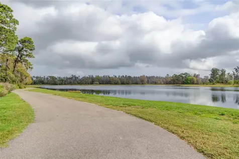 11855 Ranchers Gap Drive Odessa FL 33556