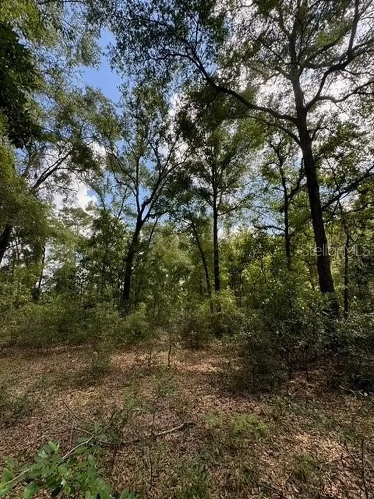 SW Coles Court Fort White FL 32038