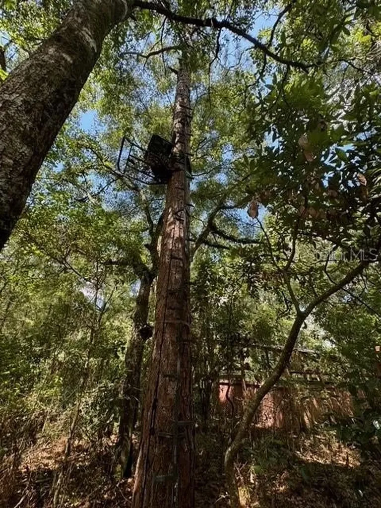 SW Coles Court Fort White FL 32038