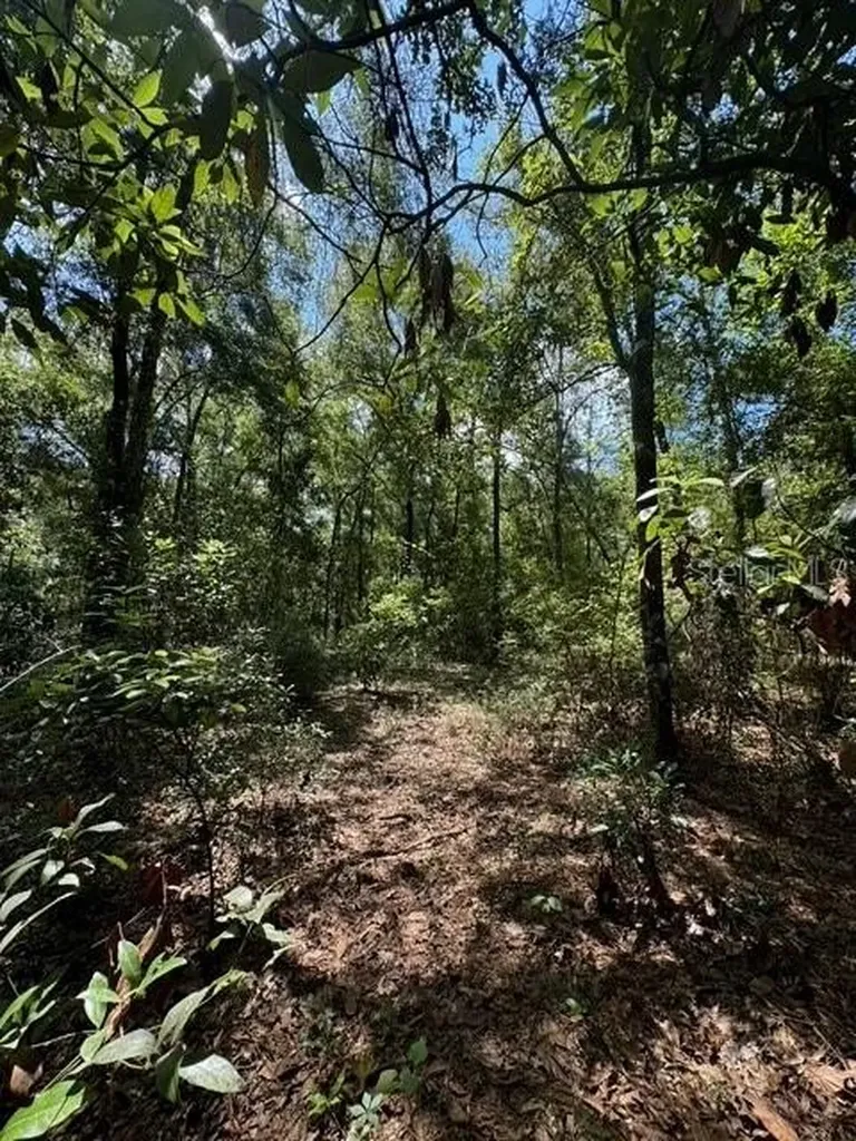 SW Coles Court Fort White FL 32038