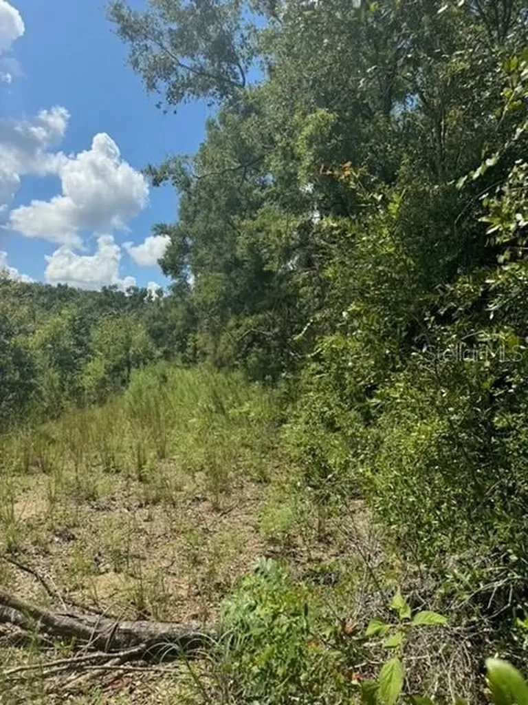 SW Coles Court Fort White FL 32038