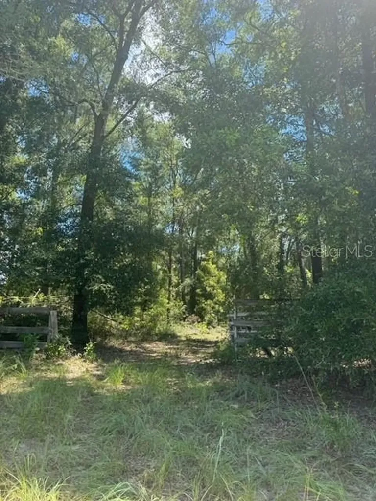 SW Coles Court Fort White FL 32038