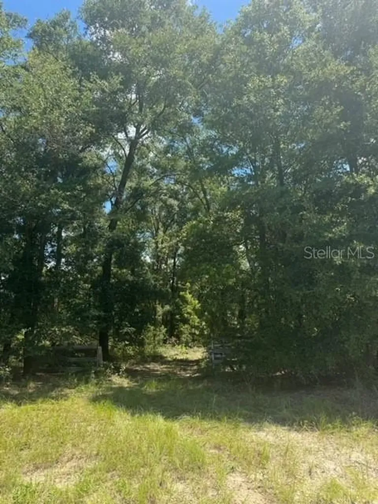 SW Coles Court Fort White FL 32038