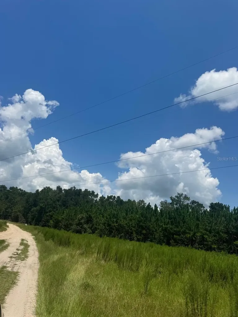 SW Coles Court Fort White FL 32038