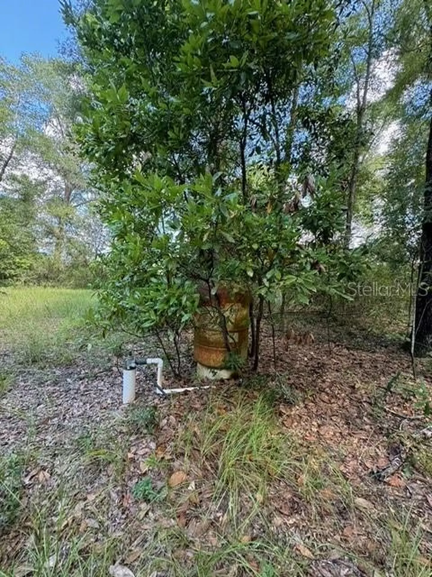 SW Coles Court Fort White FL 32038