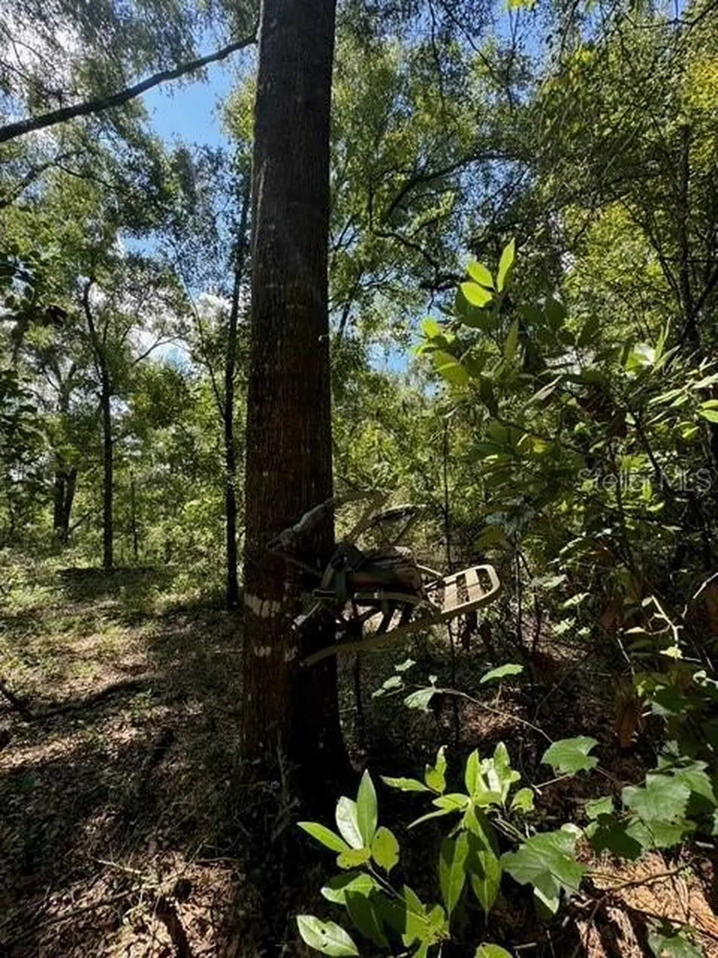 SW Coles Court Fort White FL 32038