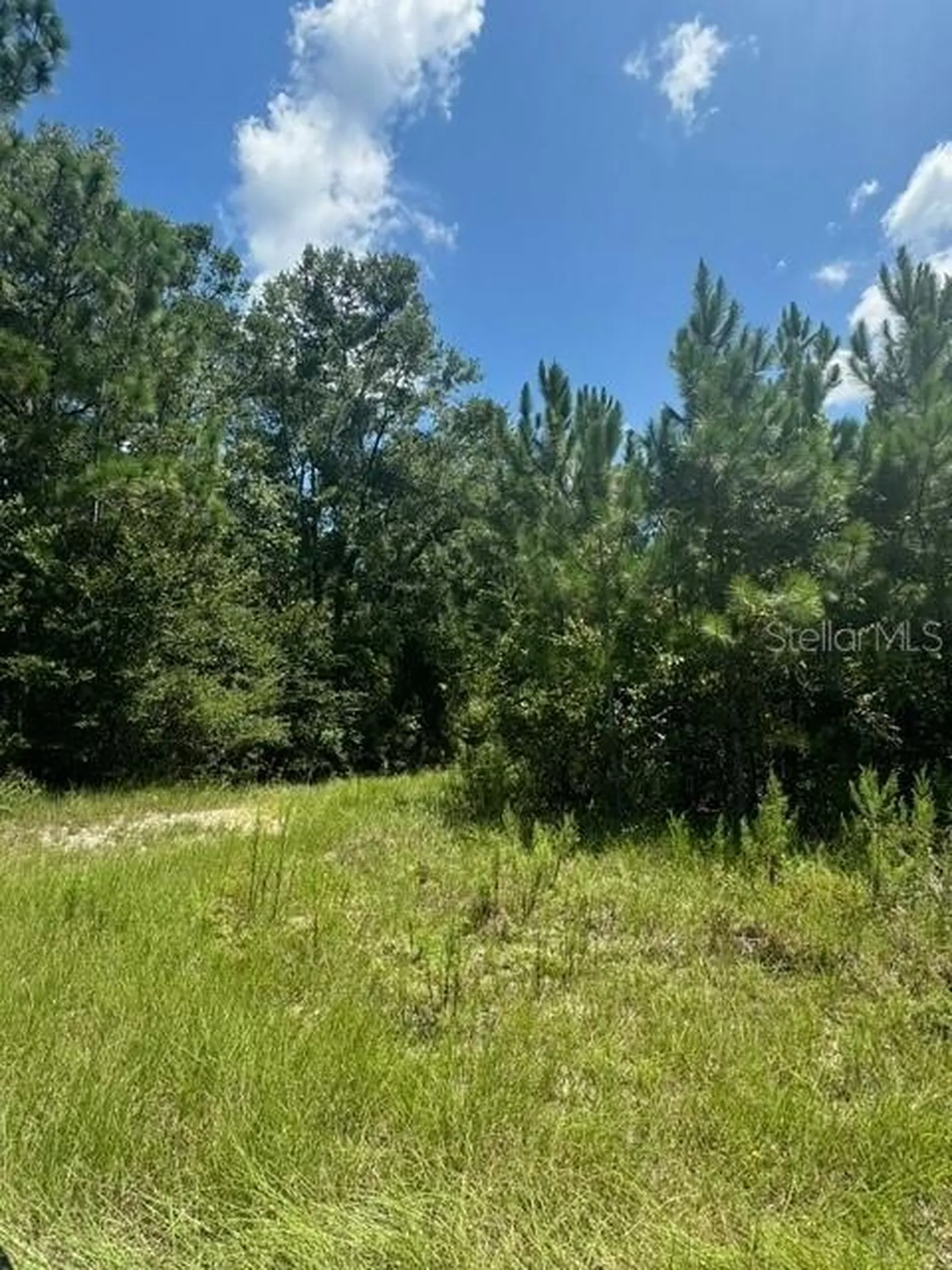 SW Coles Court Fort White FL 32038