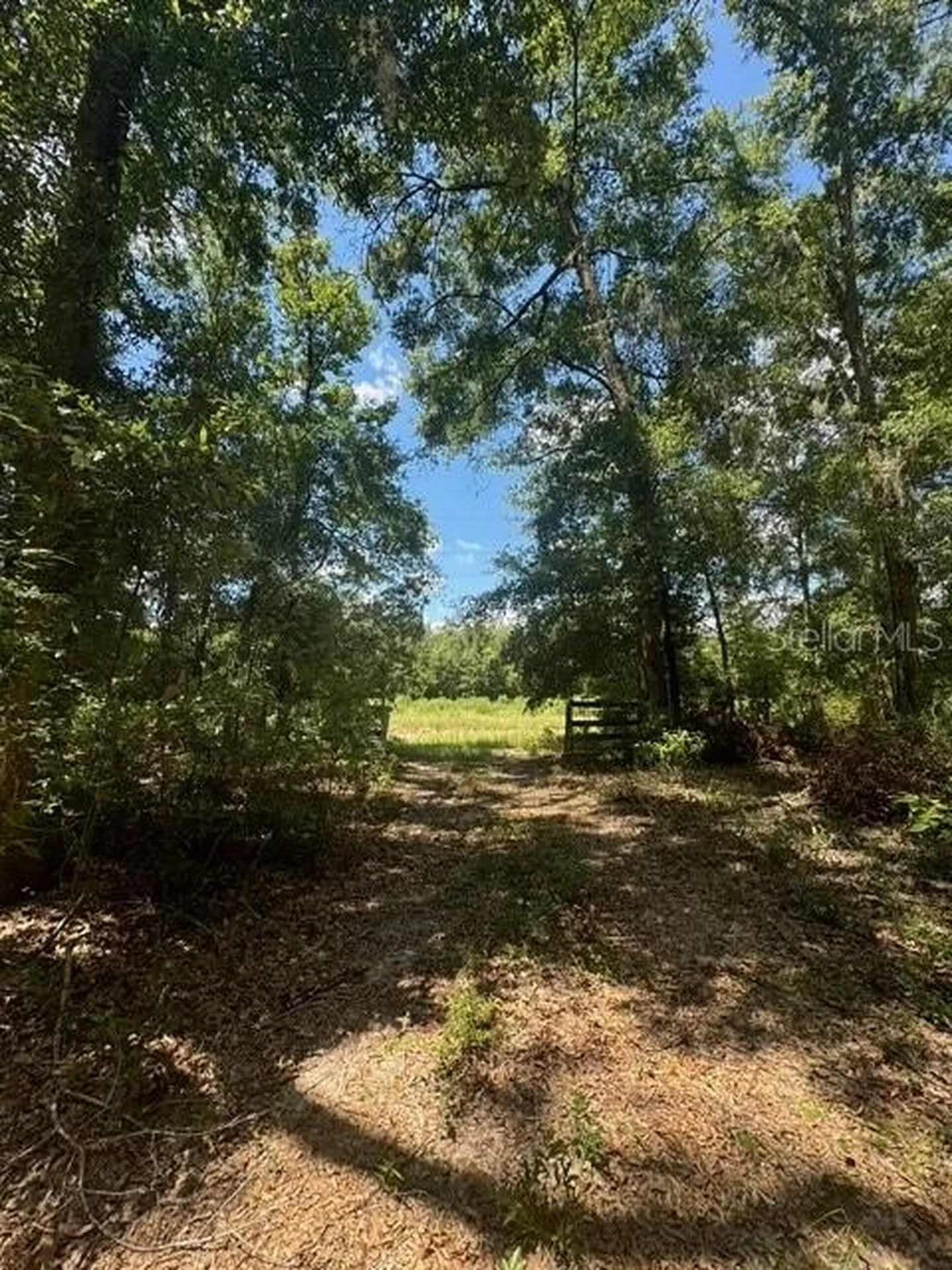 SW Coles Court Fort White FL 32038