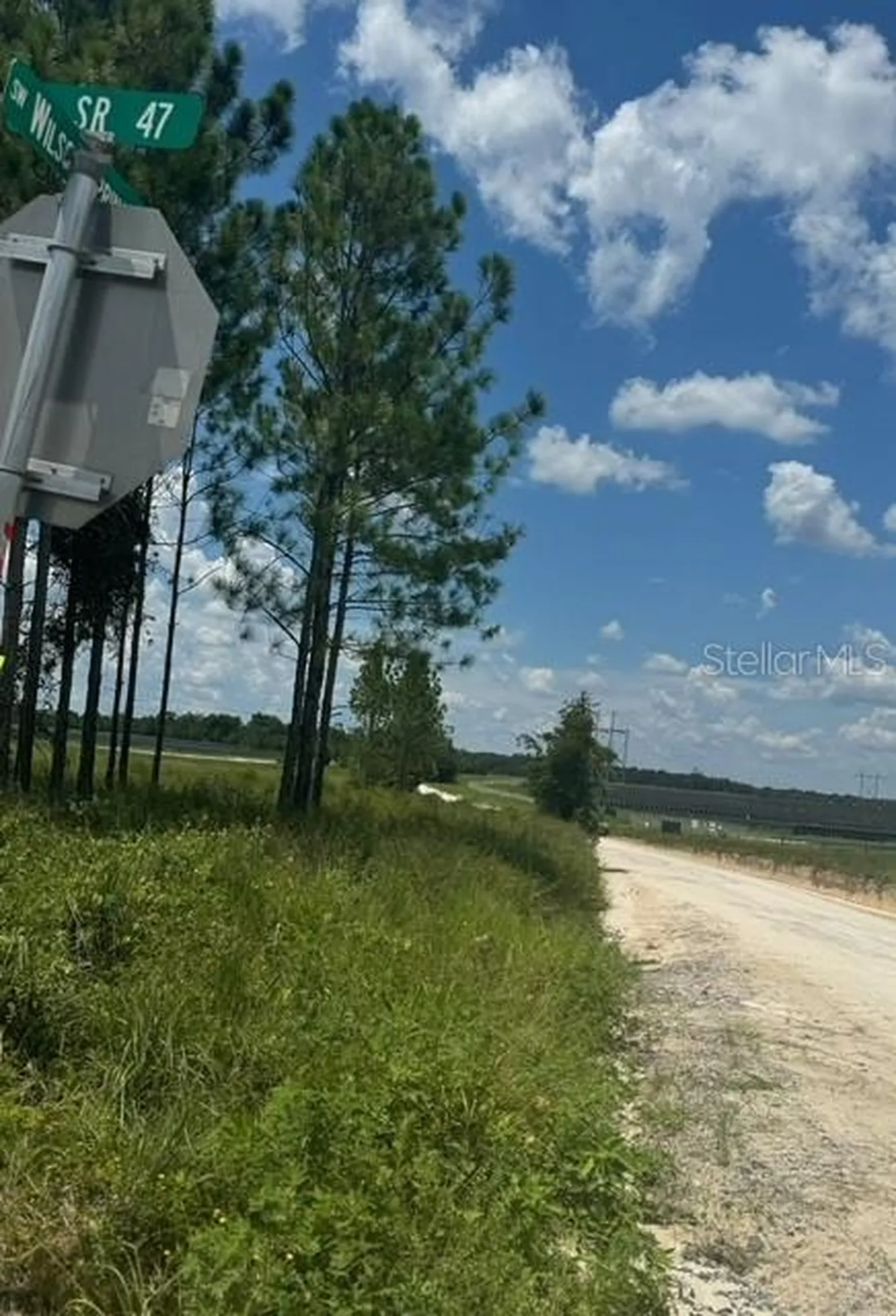 SW Coles Court Fort White FL 32038