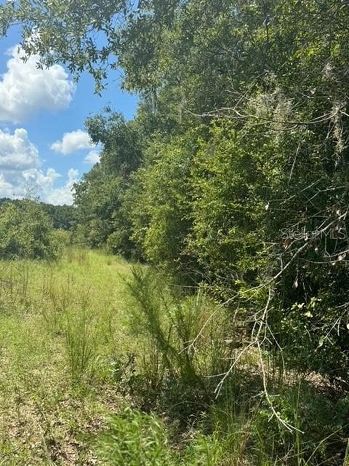 SW Coles Court Fort White FL 32038