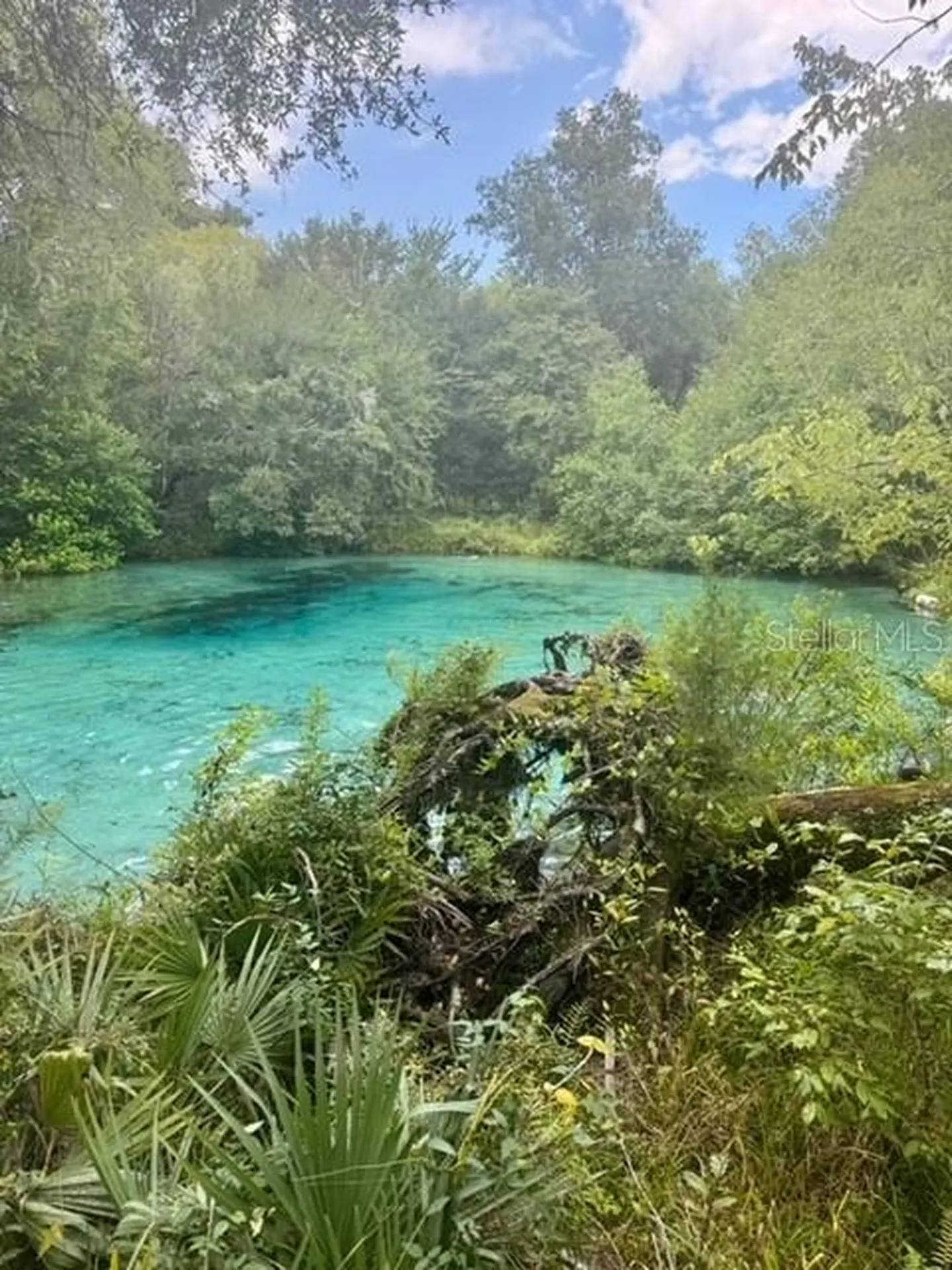 SW Coles Court Fort White FL 32038