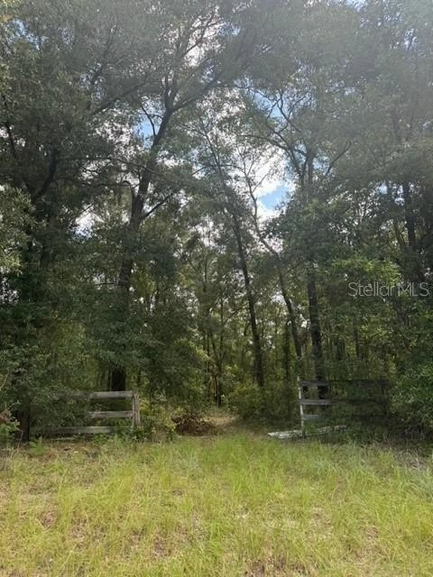 SW Coles Court Fort White FL 32038