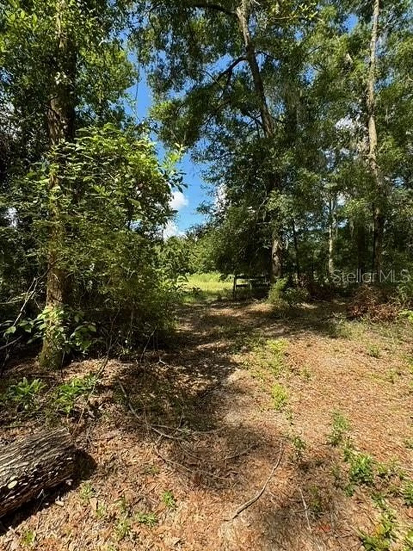 SW Coles Court Fort White FL 32038