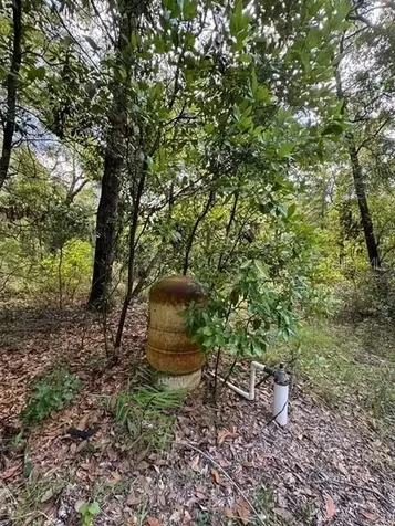 SW Coles Court Fort White FL 32038