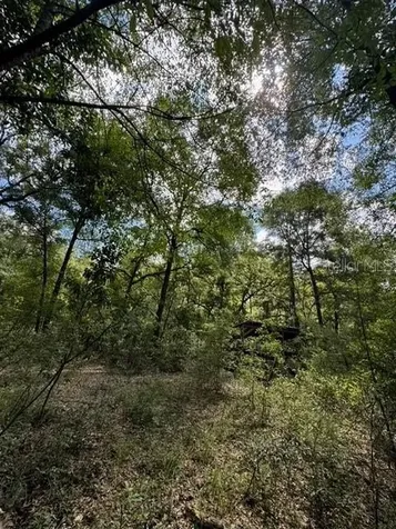 SW Coles Court Fort White FL 32038
