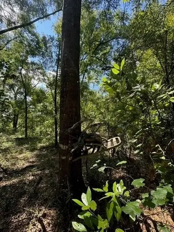 SW Coles Court Fort White FL 32038