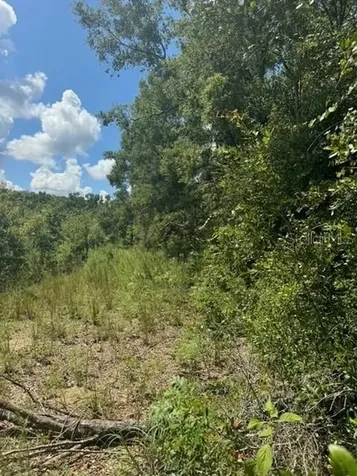 SW Coles Court Fort White FL 32038