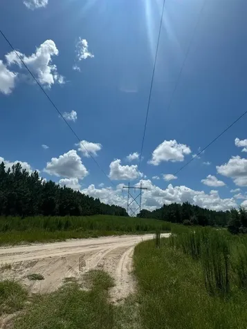SW Coles Court Fort White FL 32038