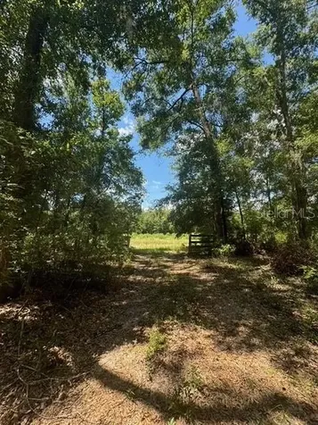 SW Coles Court Fort White FL 32038