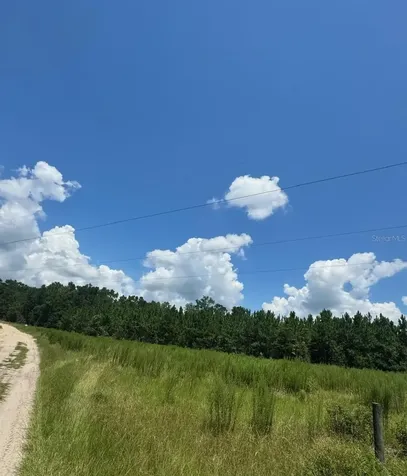 SW Coles Court Fort White FL 32038