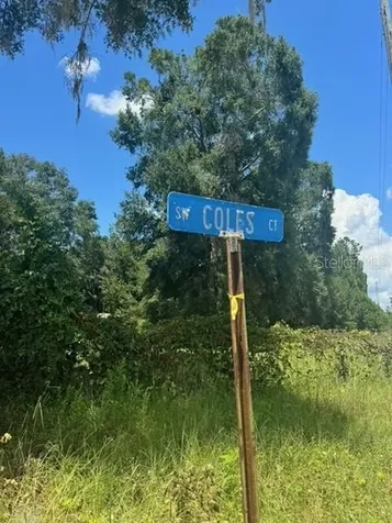 SW Coles Court Fort White FL 32038