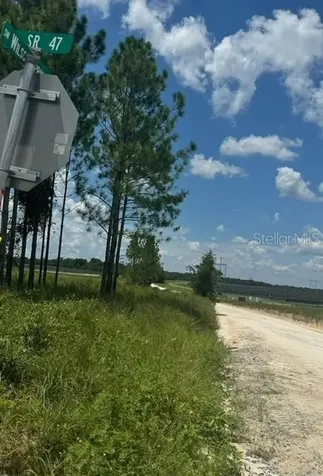 SW Coles Court Fort White FL 32038