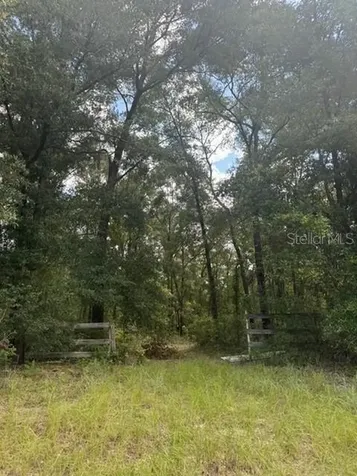 SW Coles Court Fort White FL 32038