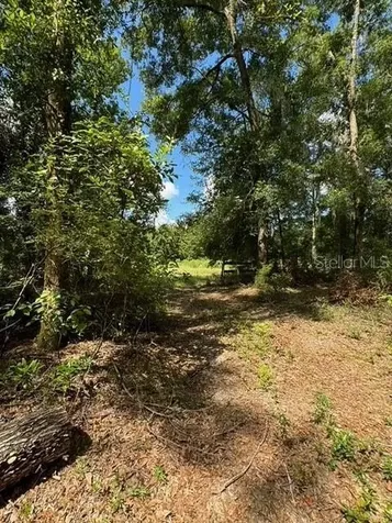 SW Coles Court Fort White FL 32038