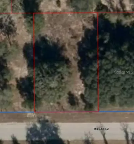 11465 NE 69th Lane Williston FL 32696