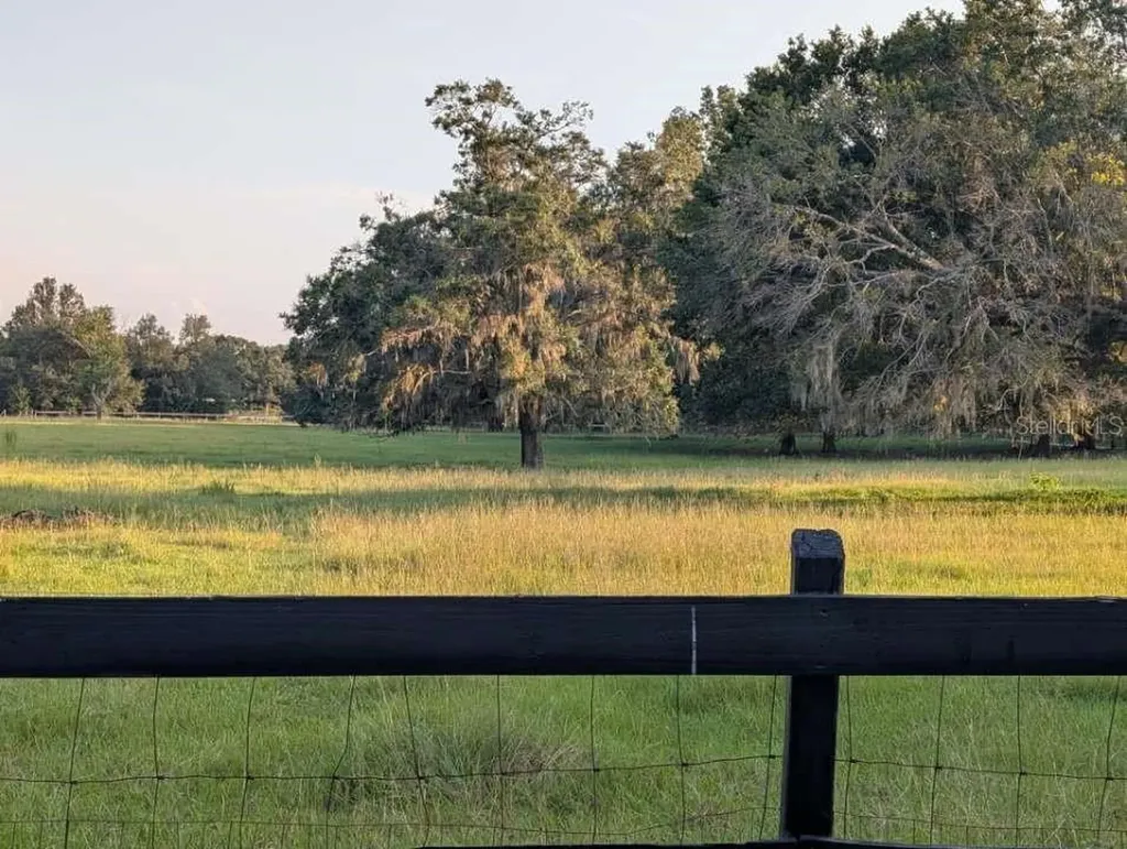 35126 William Lane Eustis FL 32736