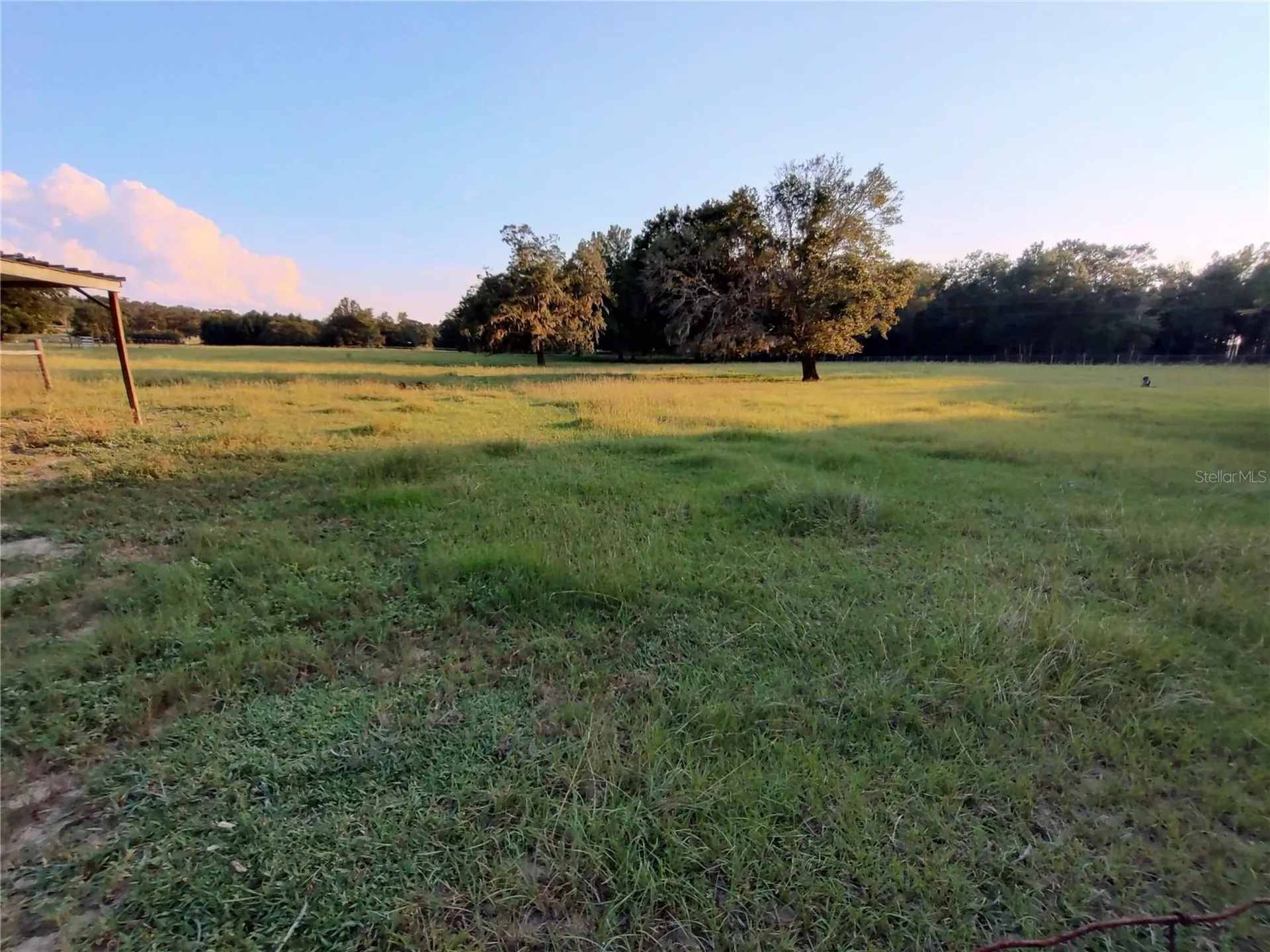 35126 William Lane Eustis FL 32736
