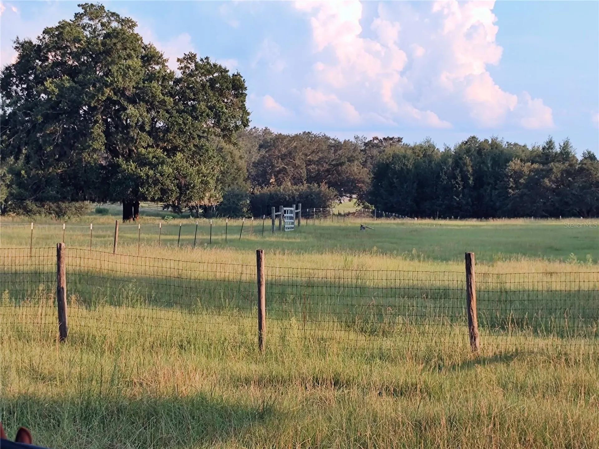 35126 William Lane Eustis FL 32736