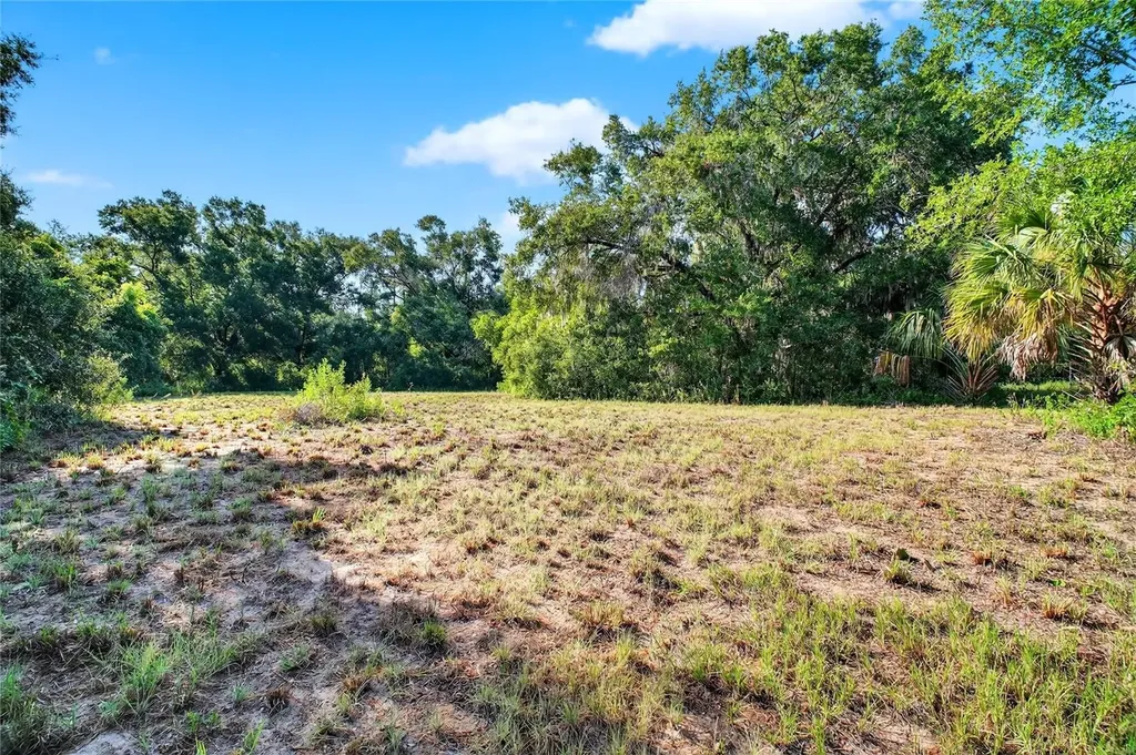 42012 State Road 19 Altoona FL 32702