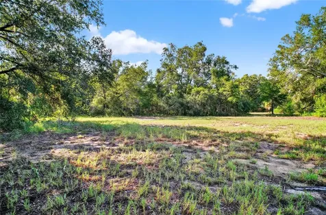 42012 State Road 19 Altoona FL 32702