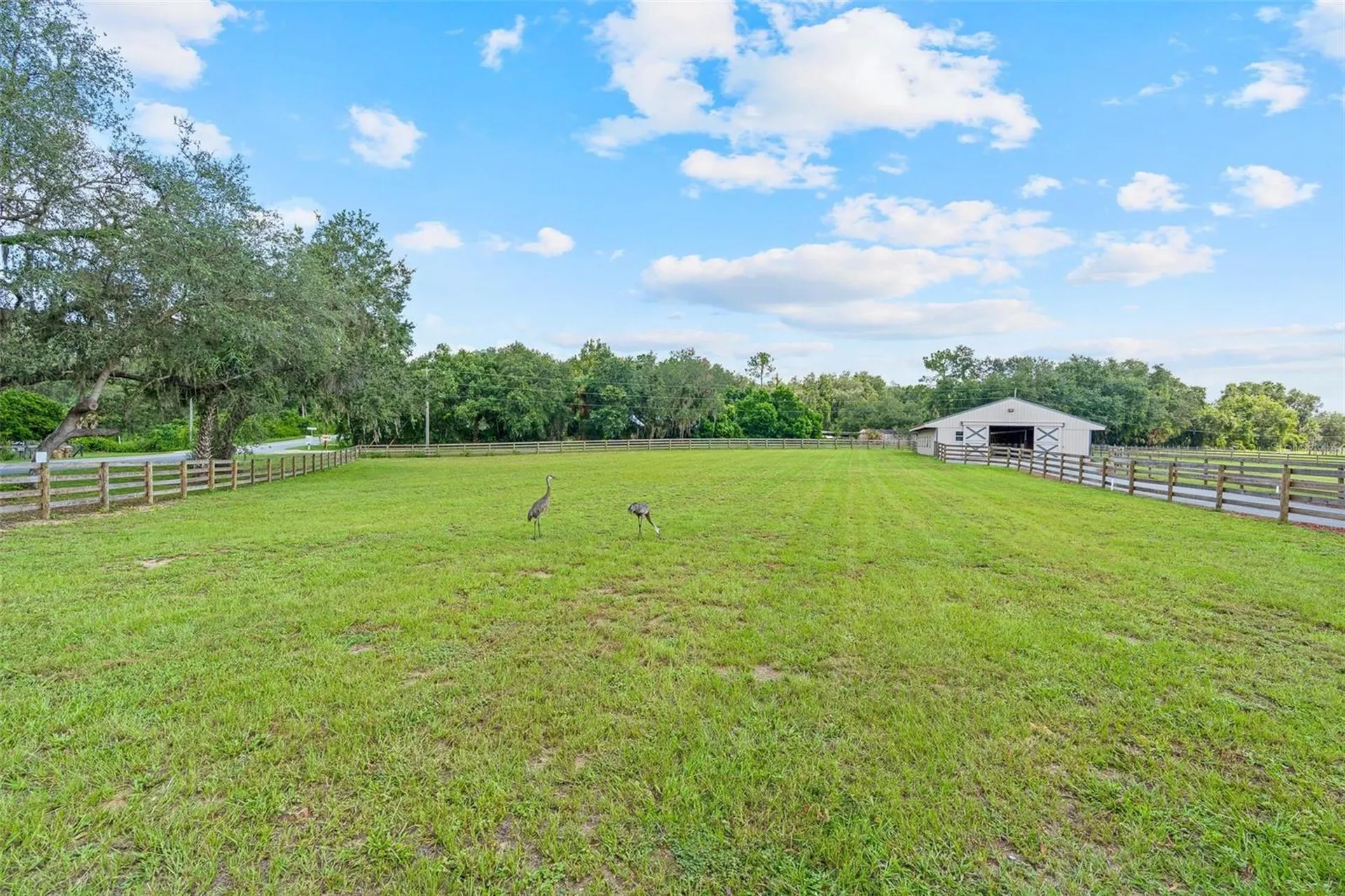 41534 Thomas Boat Landing Road Umatilla FL 32784