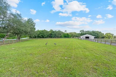 41534 Thomas Boat Landing Road Umatilla FL 32784