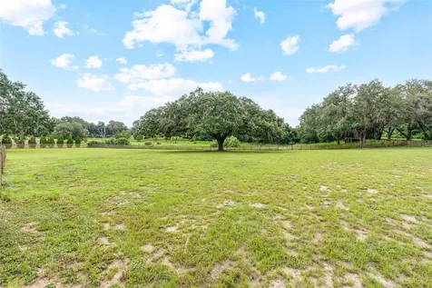41534 Thomas Boat Landing Road Umatilla FL 32784