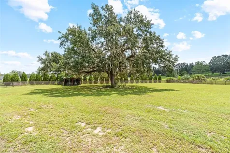 41534 Thomas Boat Landing Road Umatilla FL 32784
