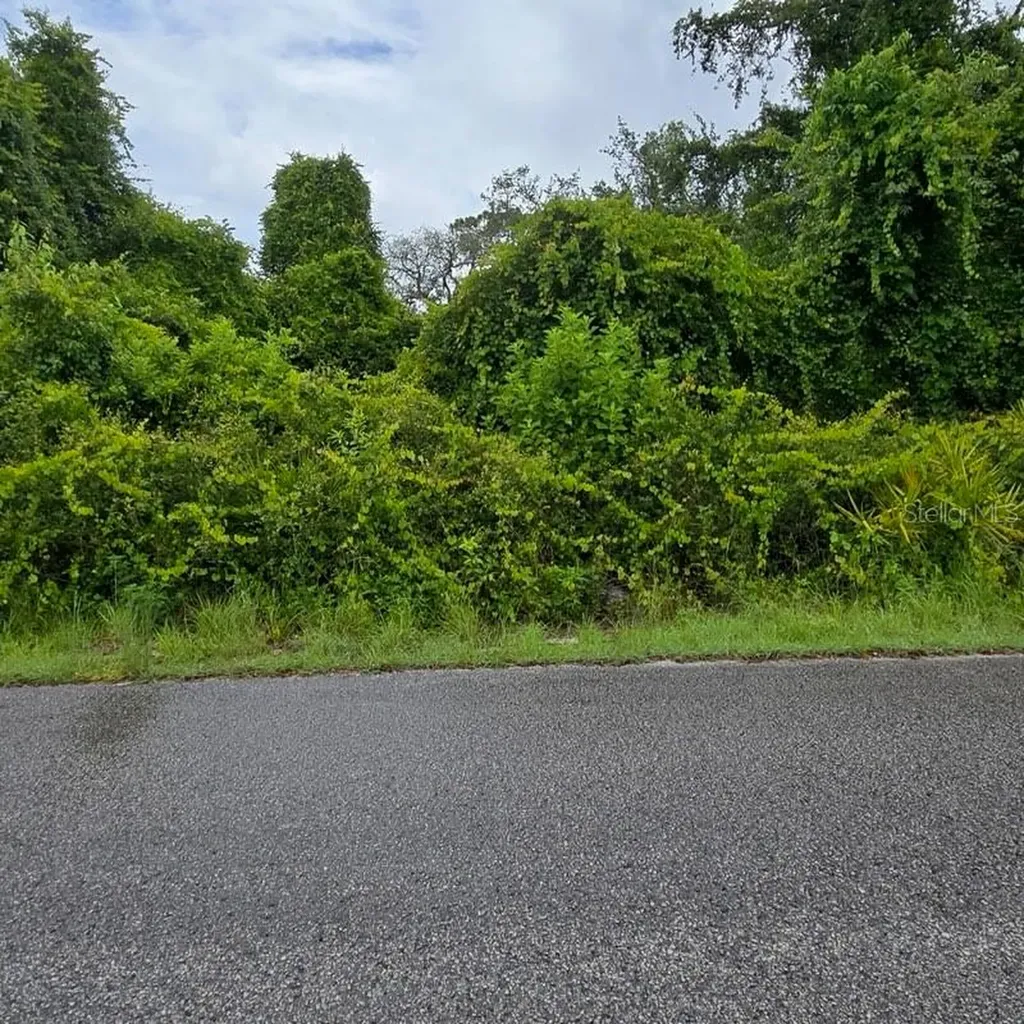 Waddell New Port Richey FL 34654
