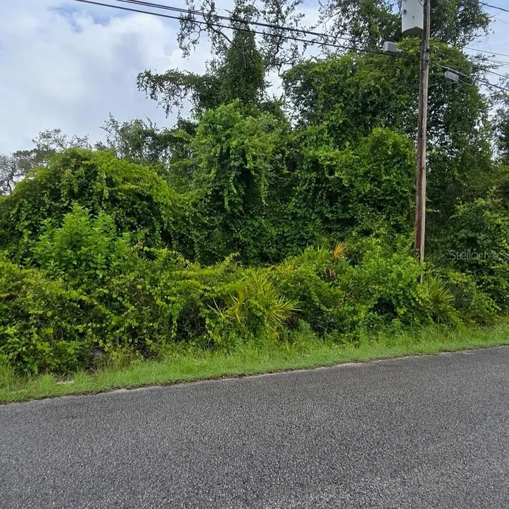 Waddell New Port Richey FL 34654