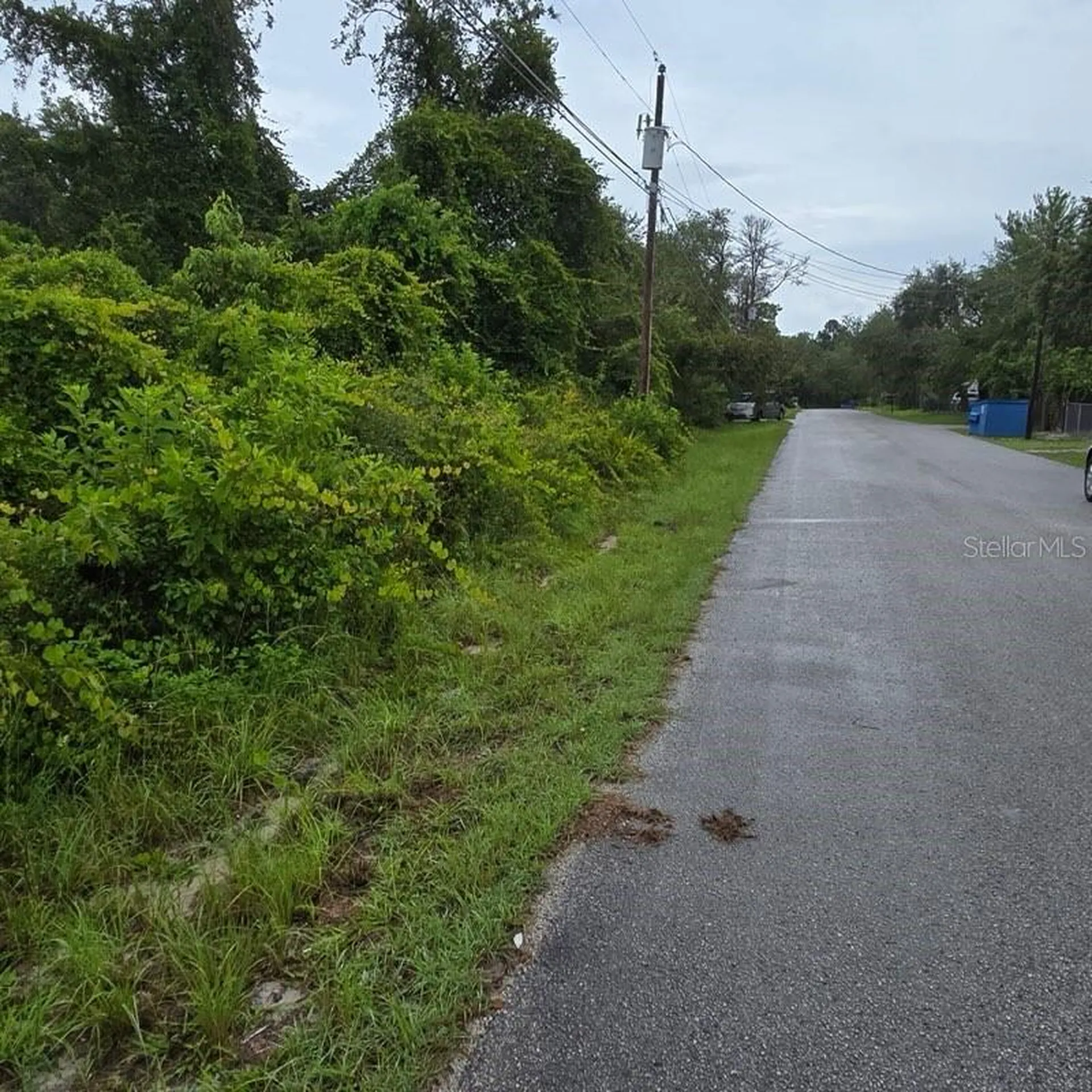 Waddell New Port Richey FL 34654