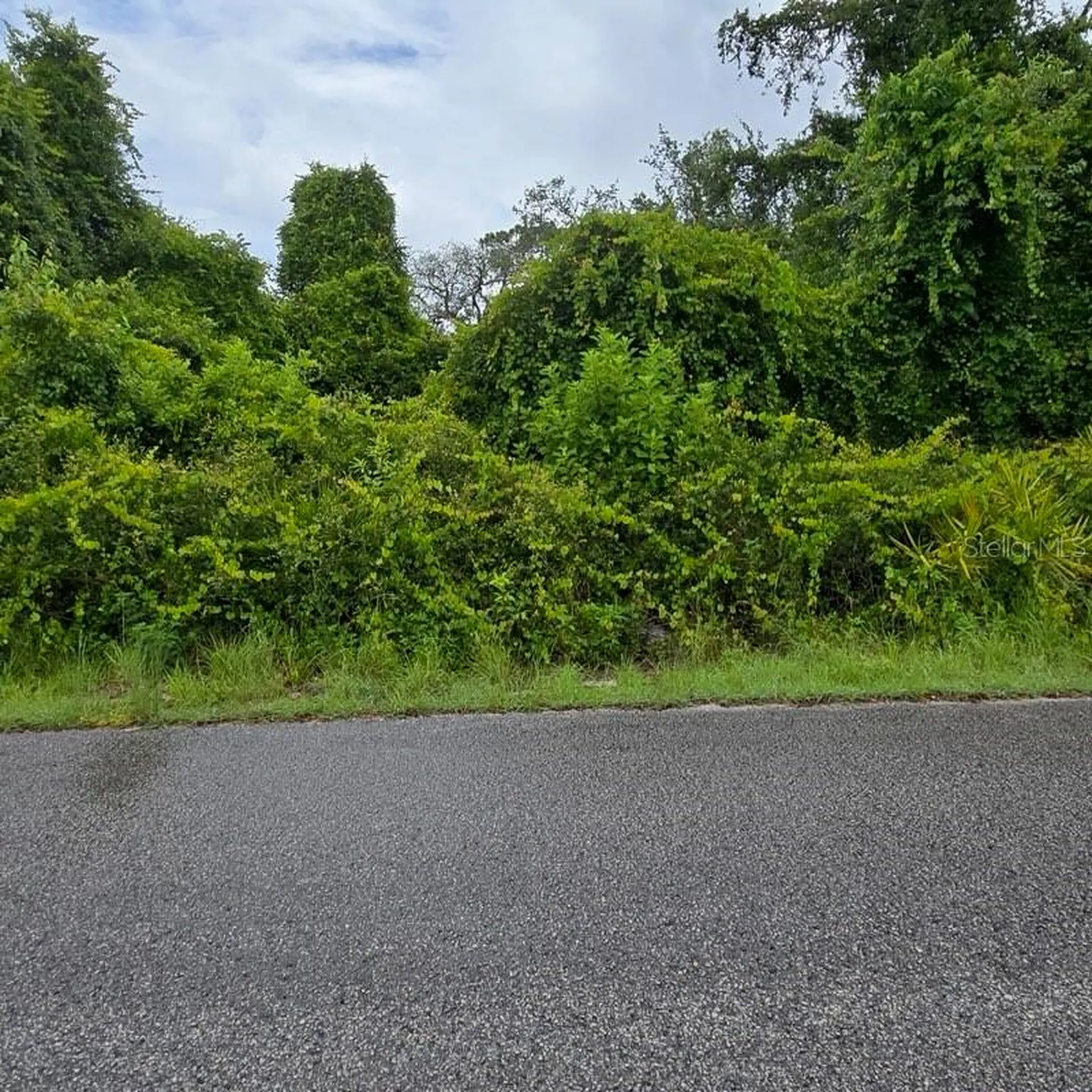 Waddell New Port Richey FL 34654