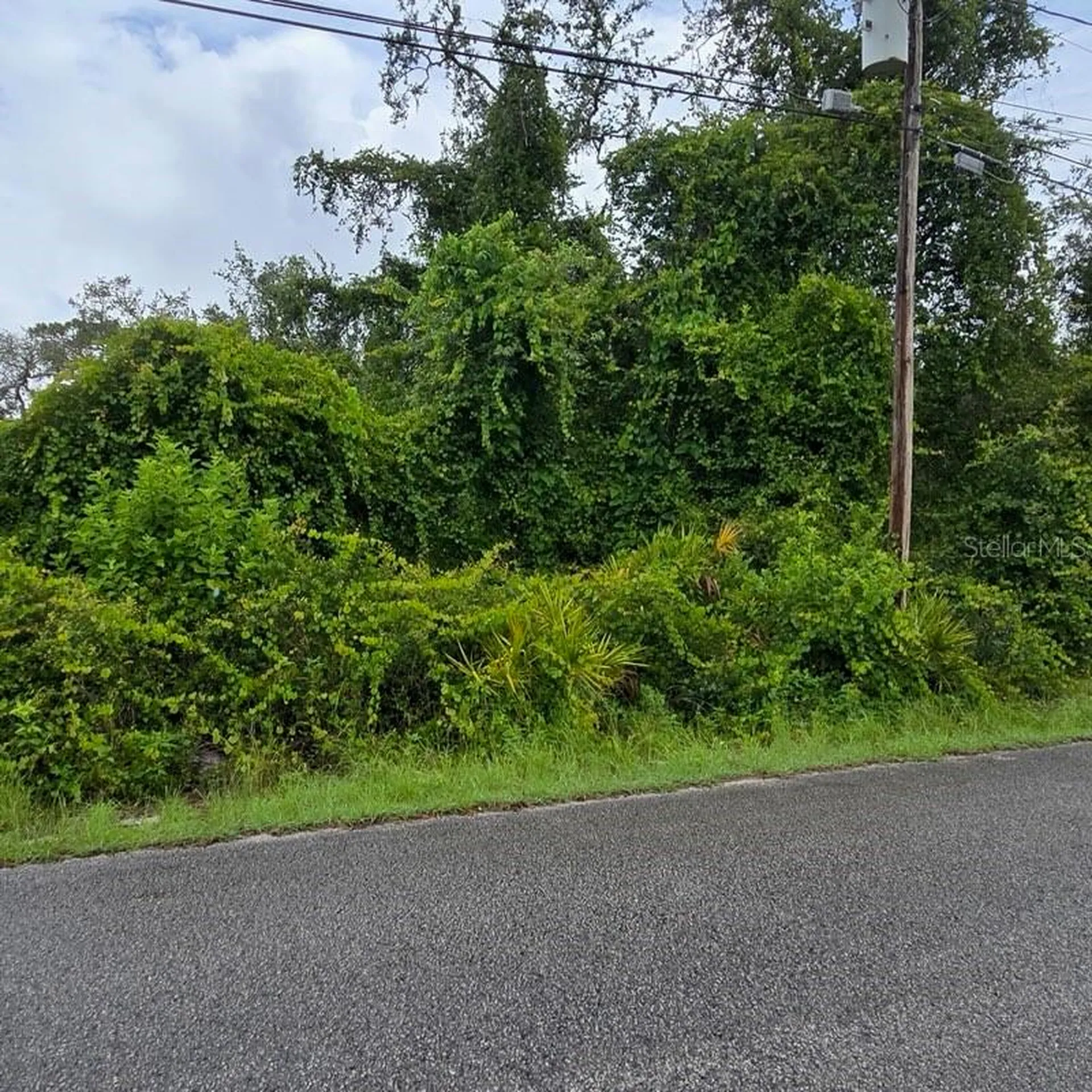 Waddell New Port Richey FL 34654