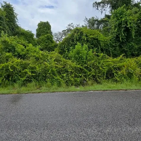 Waddell New Port Richey FL 34654