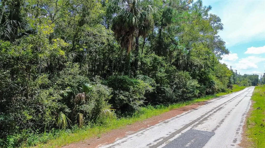 8683 N Bellflower Way Crystal River FL 34428