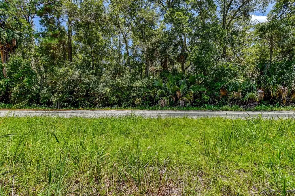 8683 N Bellflower Way Crystal River FL 34428