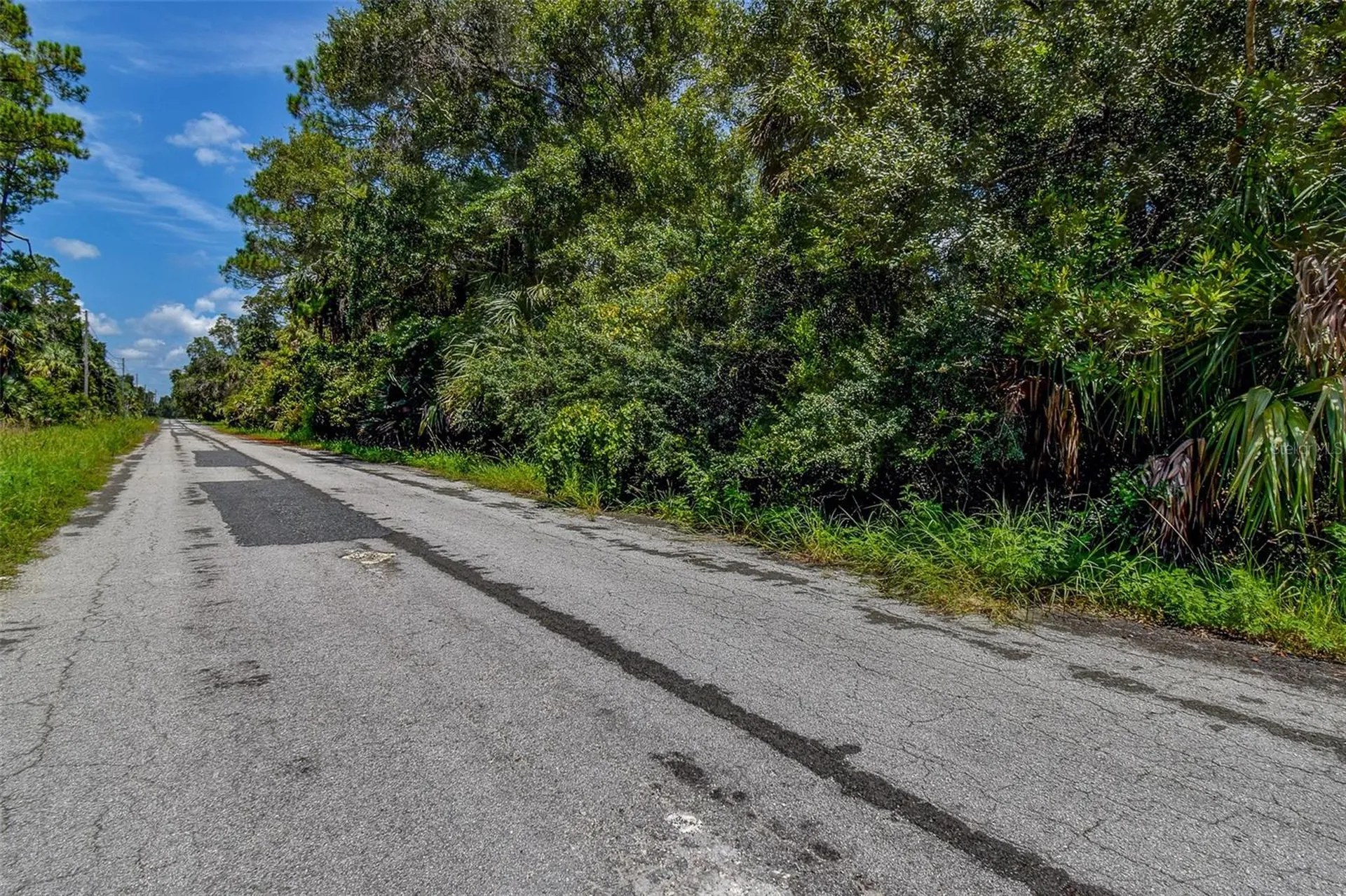 8683 N Bellflower Way Crystal River FL 34428