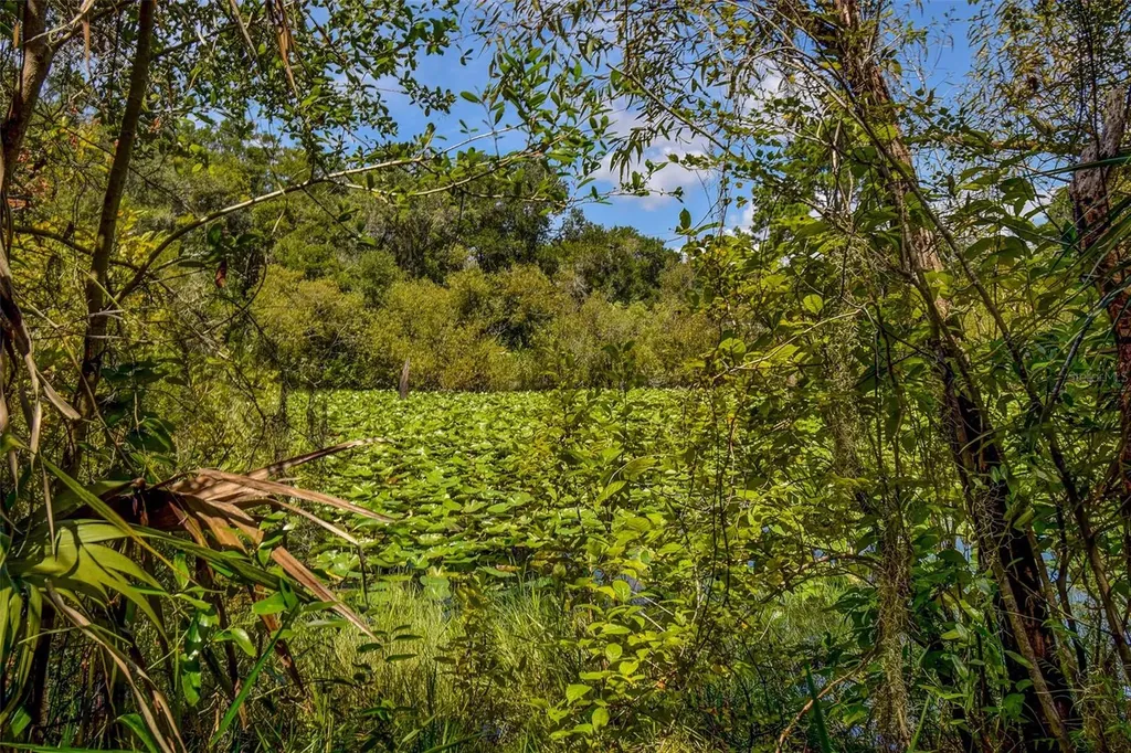 8601 W Bass Lake Road Crystal River FL 34428